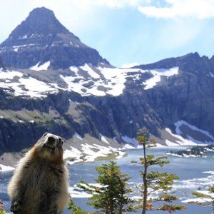 Meet your Posher, Travis